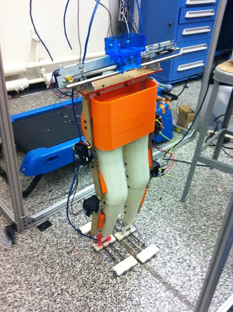 2.12 Exoskeleton